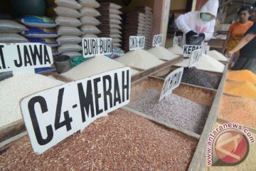 Beras mahal, pedagang warteg putar otak