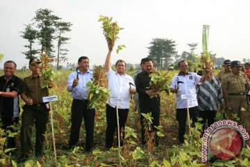 Gubernur Jabar usulkan pembelian hutan rakyat