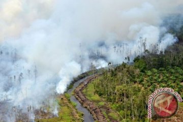 Polusi asap dua daerah di Riau berbahaya