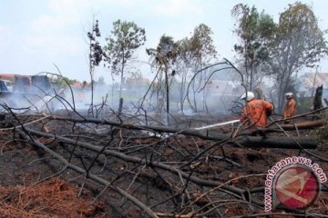 Polusi asap kebakaran lahan kembali melanda Pekanbaru