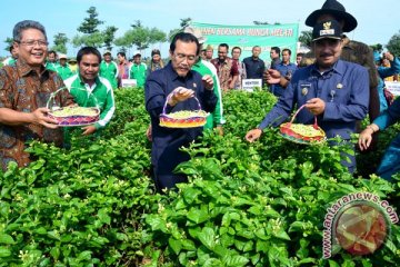 Indonesia harus bangun industrialisasi sektor pertanian 