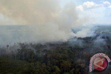 Kebakaran mulai landa hutan Kalteng