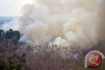 BMKG: waspadai kabut asap jangan masuk Singapura