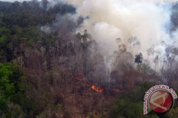 Riau lamban buat kebijakan cegah asap kebakaran lahan