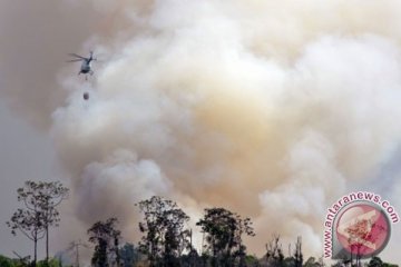 Kebakaran hutan dan lahan landa Pelalawan