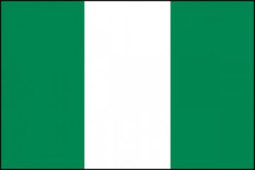 Nigeria vs Bosnia 1-0 berkat gol Odemwingie