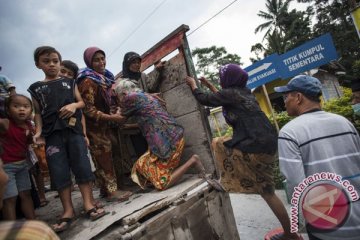 Debu Merapi ganggu persediaan pakan ternak Pacitan