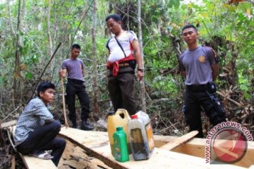 Polri selidiki khusus oknum aparat perambah hutan