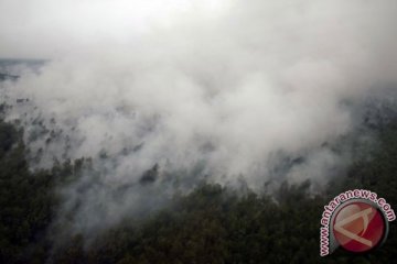 Penanganan kebakaran hutan-lahan di Riau dinilai lebih baik