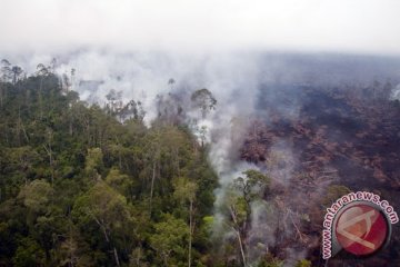 Pekanbaru berselimut asap