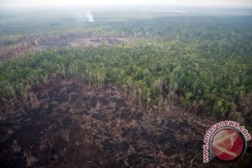 Titik panas di Sumatera terpantau meningkat