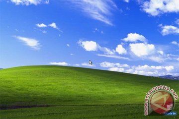 Pasar Windows XP masih 20 persen