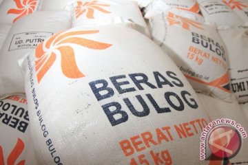 Bulog Merauke akan datangkan beras Vietnam atau Thailand