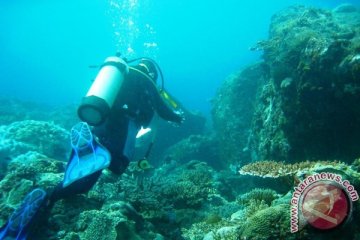 Di dalam biru laut Flores Timur