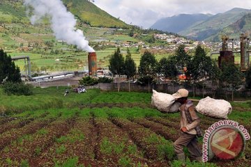 Ditjen EBTKE: Chevron lepas proyek geotermal Ciremai