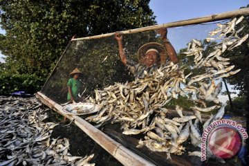 IKAN KERING