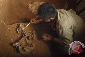 Fosil gigi singkap fakta lain era manusia tropis