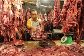 Harga Daging Sapi Melonjak