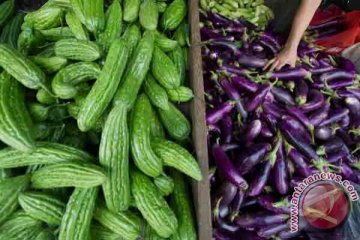 Dua kendala pemasaran sayur organik lokal