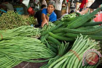 Ini pengaruh makan buah dan sayur setelah 20 tahun mendatang