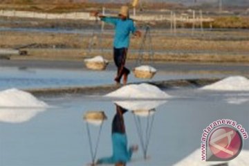 Kemenperin dorong produksi garam dengan teknik isolator