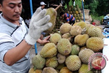Buah durian Bangka "banjiri" Kota Palembang