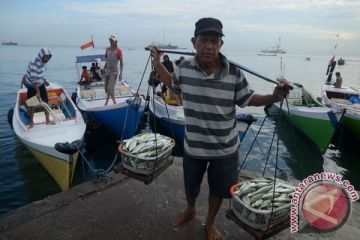 HARGA IKAN NAIK