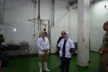 Wabup Bogor Nurhayanti sidak RPH