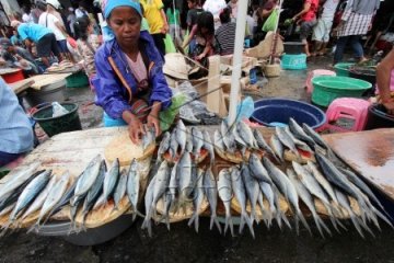 Harga Ikan Melonjak