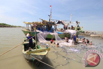 Kapal tenggelam di Maluku Utara 14 tewas