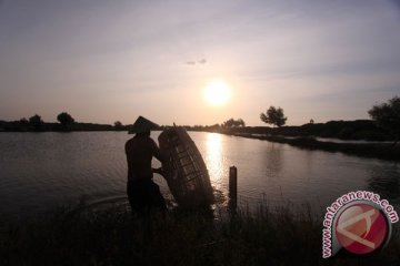 Pencari udang temukan mayat di Pantai Sumenep