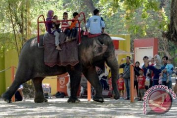 200 pegawai Kebun Binatang Surabaya belum terima tunjangan
