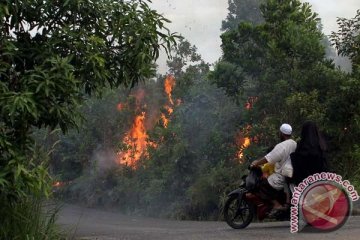 Kebakaran lahan mulai marak lagi di Kotawaringin Timur