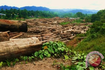 Hutan berkelanjutan untuk hadapi perubahan iklim