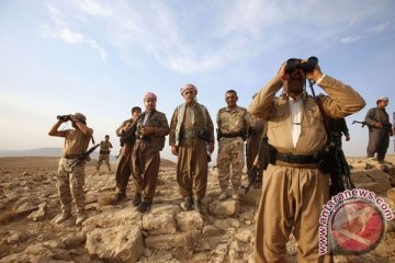 Kurdi dan ISIS berebut Ain-al-Arab, 10 orang tewas