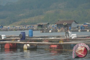 Perubahan iklim membuat ratusan ton ikan mati di Cianjur