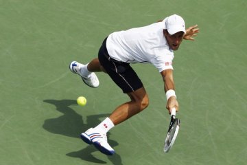 Djokovic perpanjang laju tidak terkalahkan di Paris