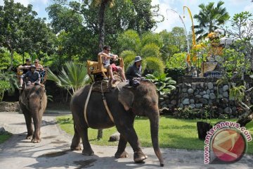 Wisata gajah Carangsari diminati wisatawan mancanegara