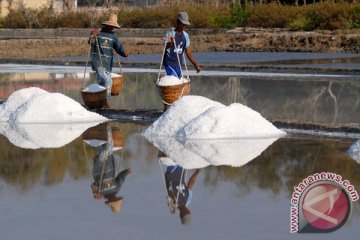 BNI pionir penyaluran KUR untuk petani garam