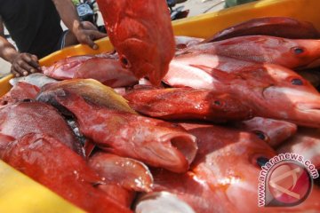 China butuh tambahan 125 ton ikan Indonesia