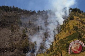 450 hektar kawasan Tengger Bromo terbakar