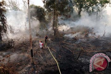 Anggaran sementara pemadaman lahan gambut Rp500 miliar