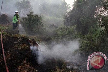Polda Riau tetapkan 250 tersangka kejahatan lingkungan
