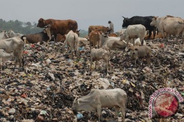 Jakarta kekurangan tempat pembuangan sampah