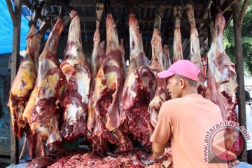 Bima pasok daging sapi beku ke Jakarta