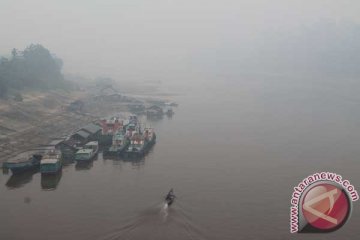 Dua lahan di hutan produksi Tanahlaut terbakar