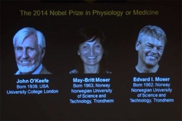 Penemu "GPS" otak raih Nobel Fisiologi/Kedokteran