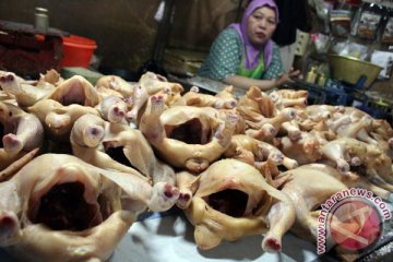 Harga ayam potong di Kabupaten Bogor naik