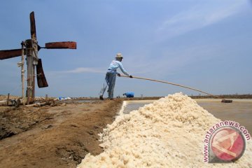 Pelaku kartel garam untuk Rp2,25 triliun setiap tahun