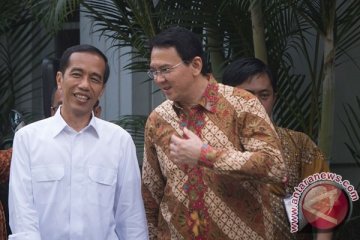 Ahok: saya belum pernah mengunjungi Istana Presiden